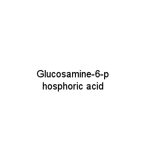 Glucosamine-6-phosphoric acid